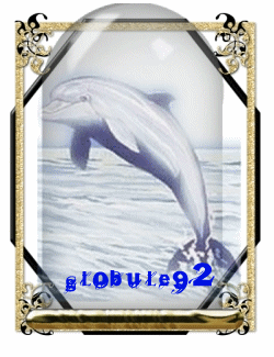 globule92